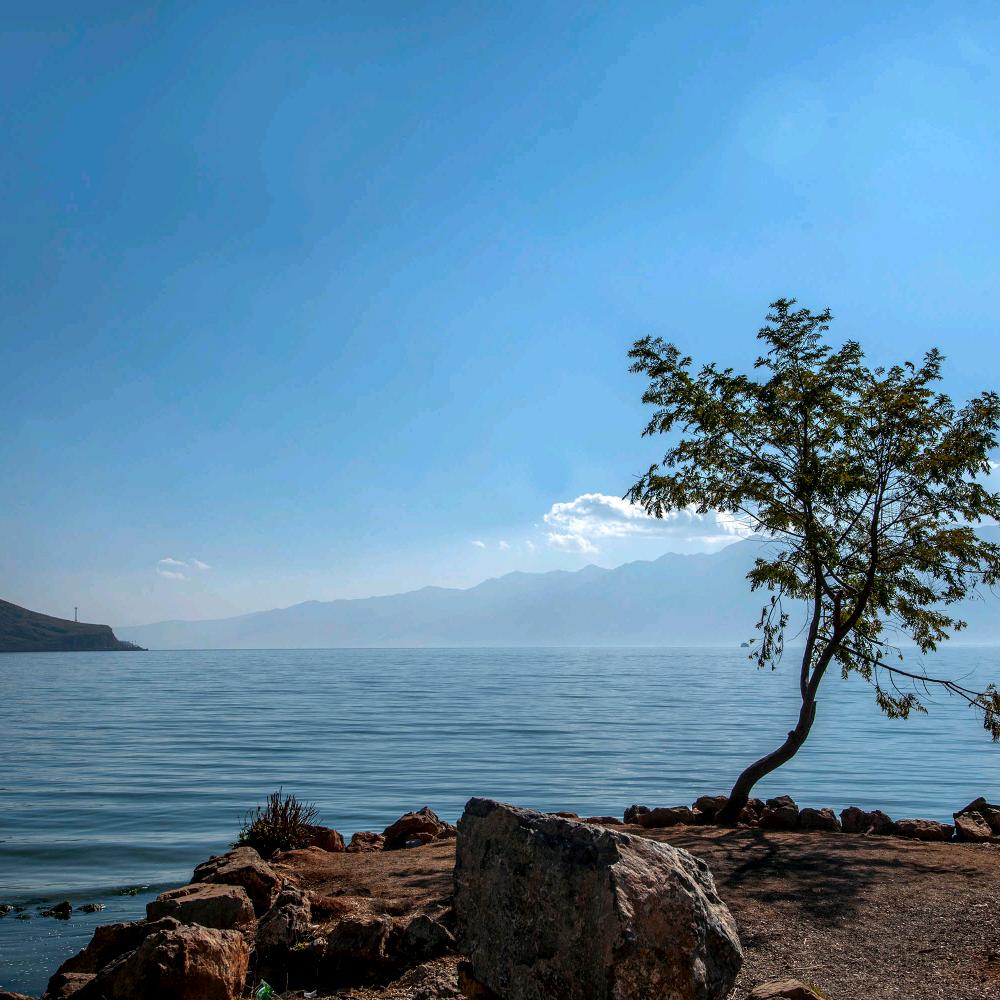 用户快乐2508879981999