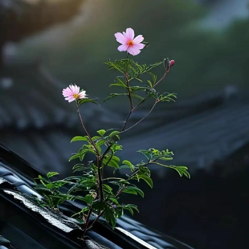 韦学范