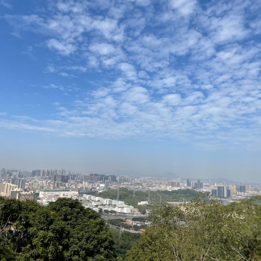 鲤绿鱼🐠⁹³¹