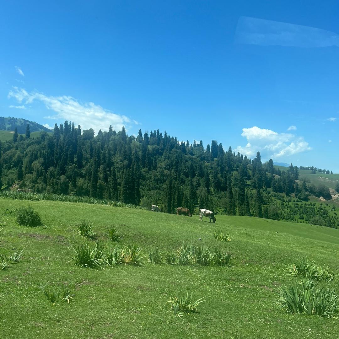 玉之典（孙哥）