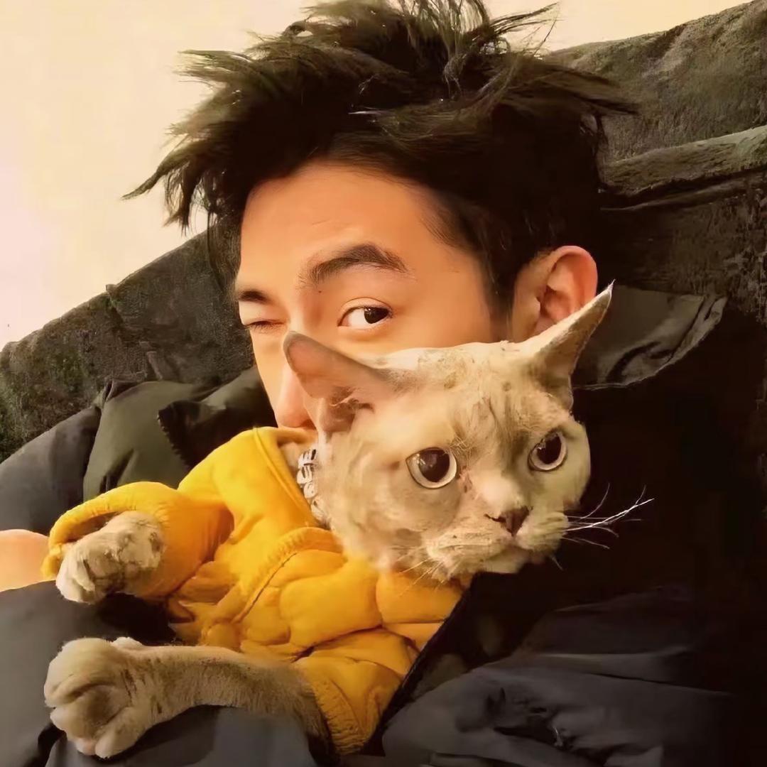 小黎收车（带你玩转二手车）