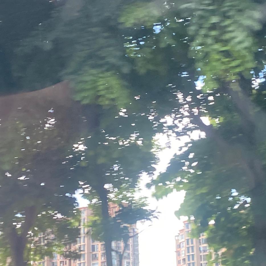 玉玲珑春