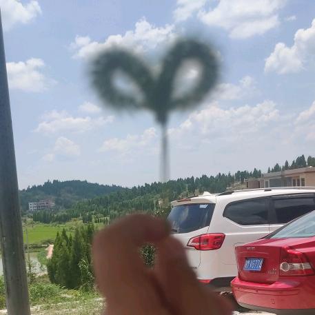 小唐小高家政服务中心