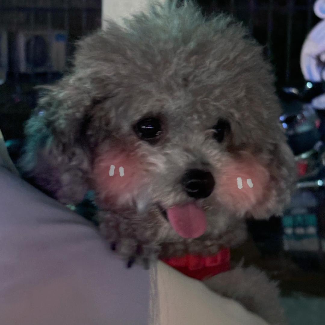 今夜睡袍
