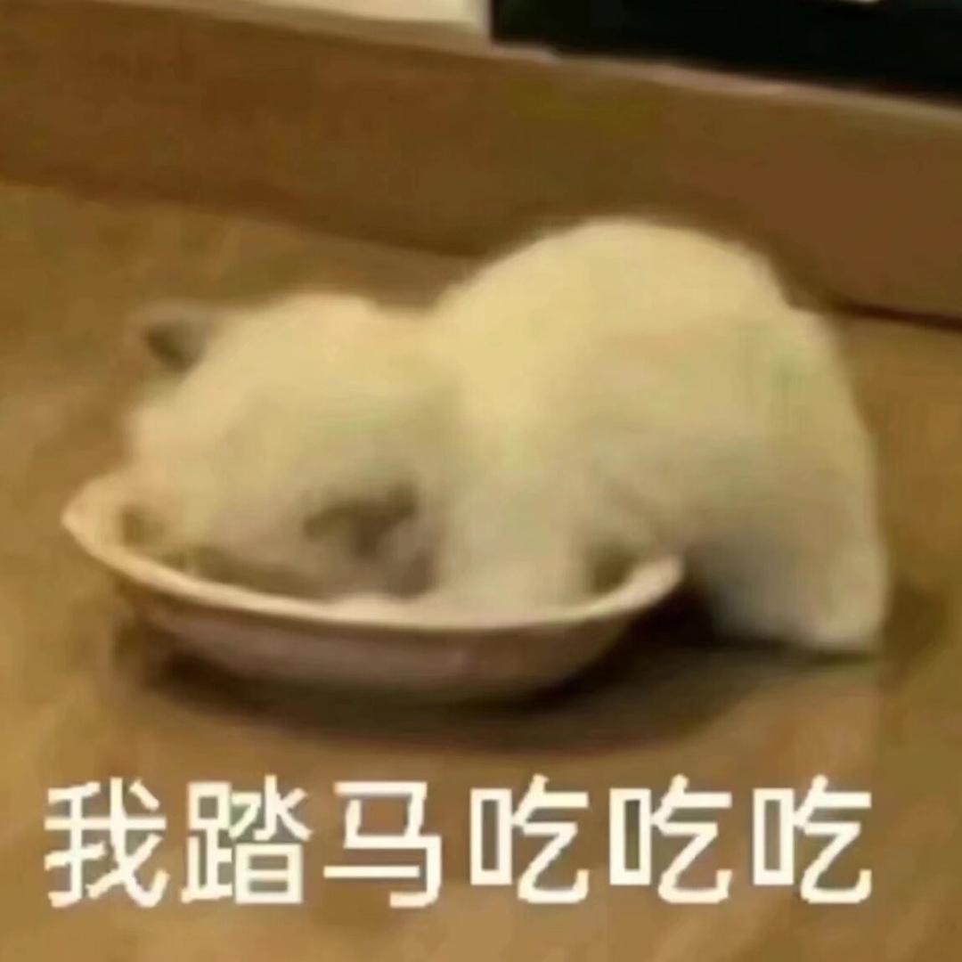 霖