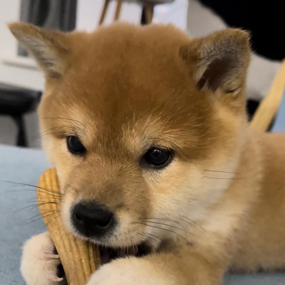 九百万来啦