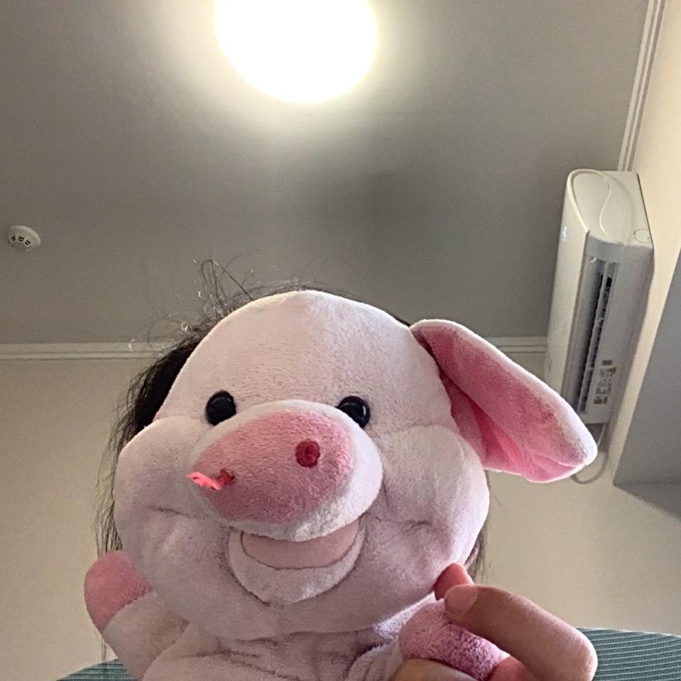 小猪🐽