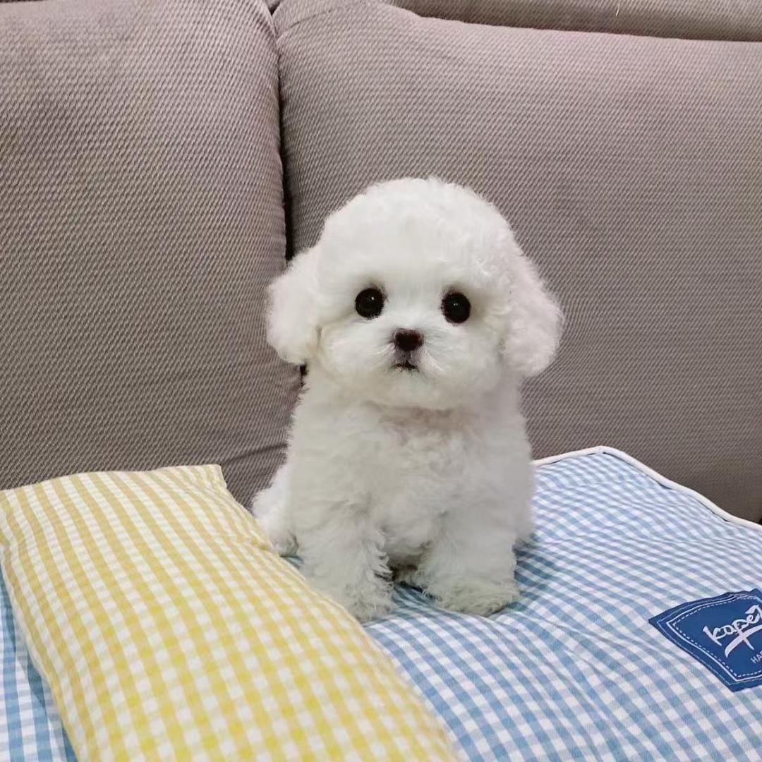 小熊小熊🐻