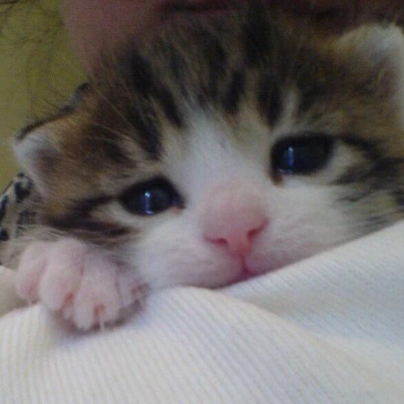 我叫卓少你记住