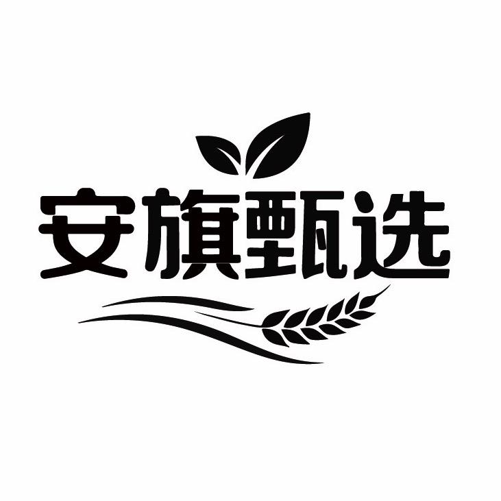 安旗甄选-陕西特产