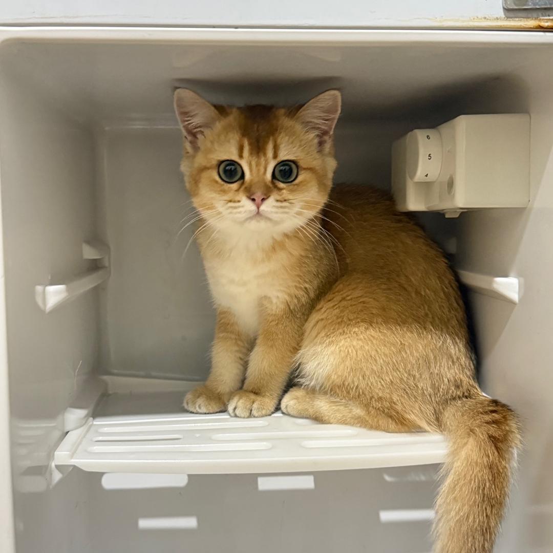 熊猫球社（云谷二期大学城店）