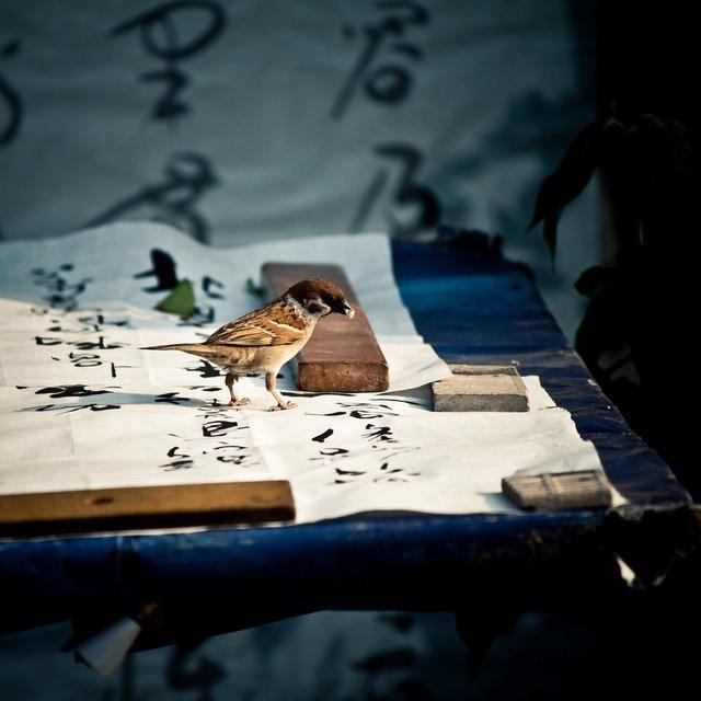 阿蒙✍️