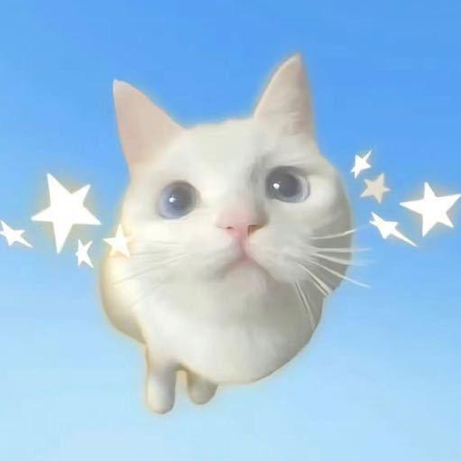 嘬嘬z2Z