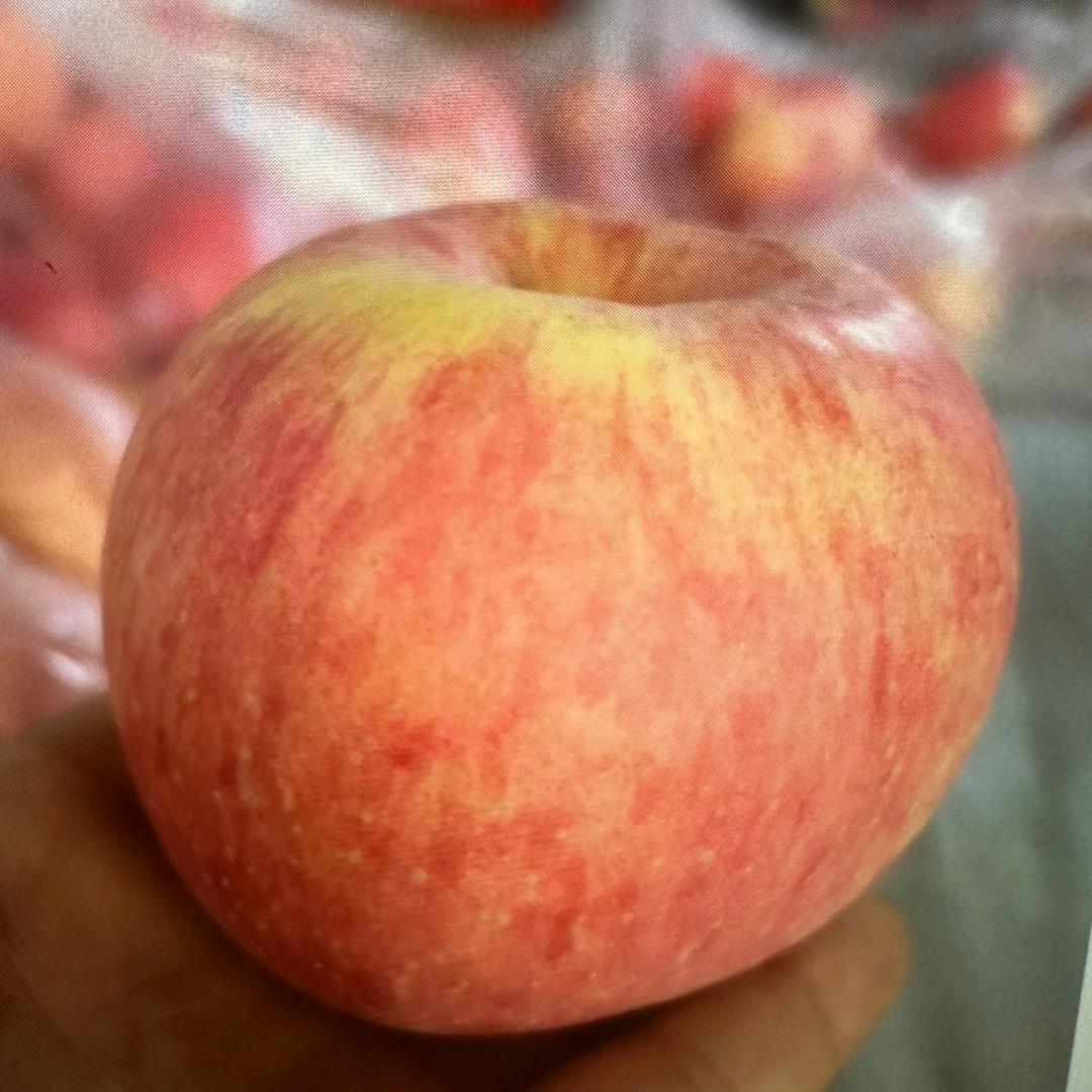 家乡一亩地水果源头店