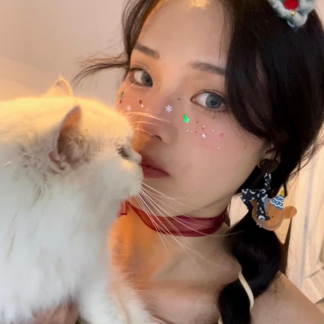 点不理涂