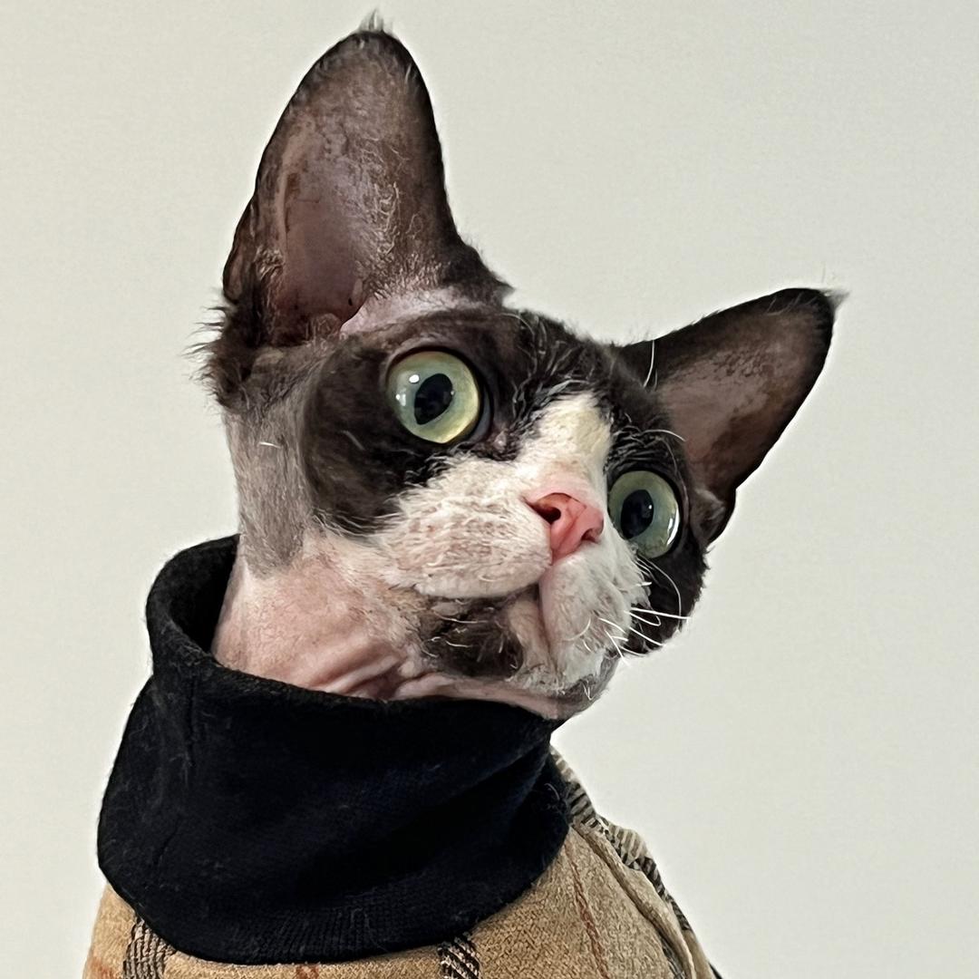 一张同学