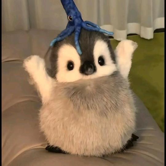 F̶ɪ̶ɴ̶ᴀ̶ʟ̶ʟ̶ʏ