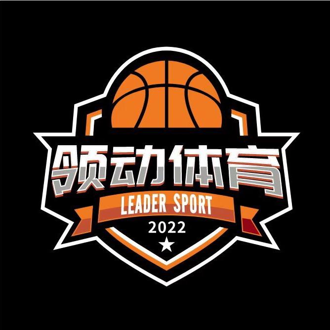 衡阳领动体育文化发展有限公司