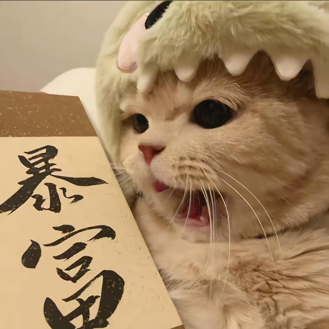斌子二手车