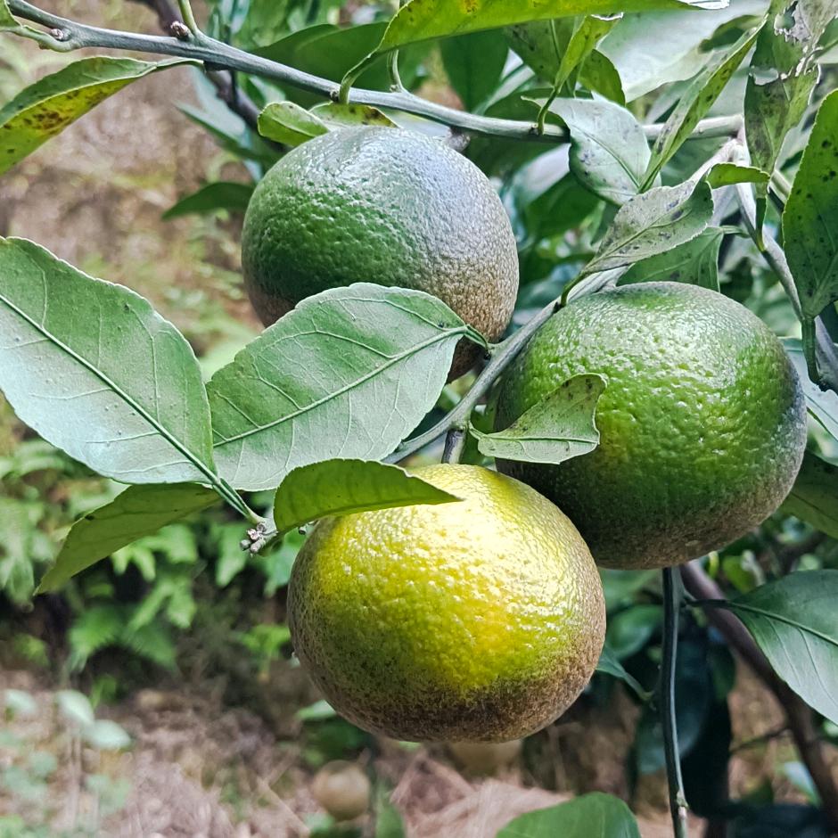 明天一定会更好