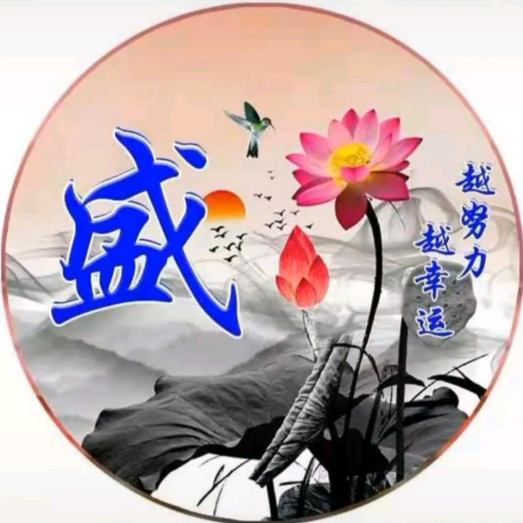 ✨阳光好物✨