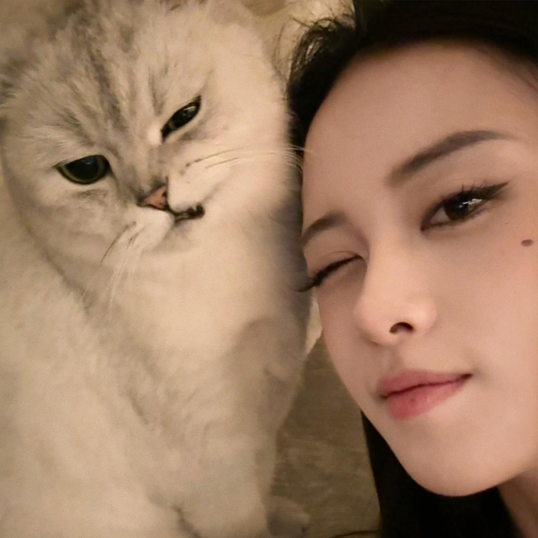 蒲蒲大王