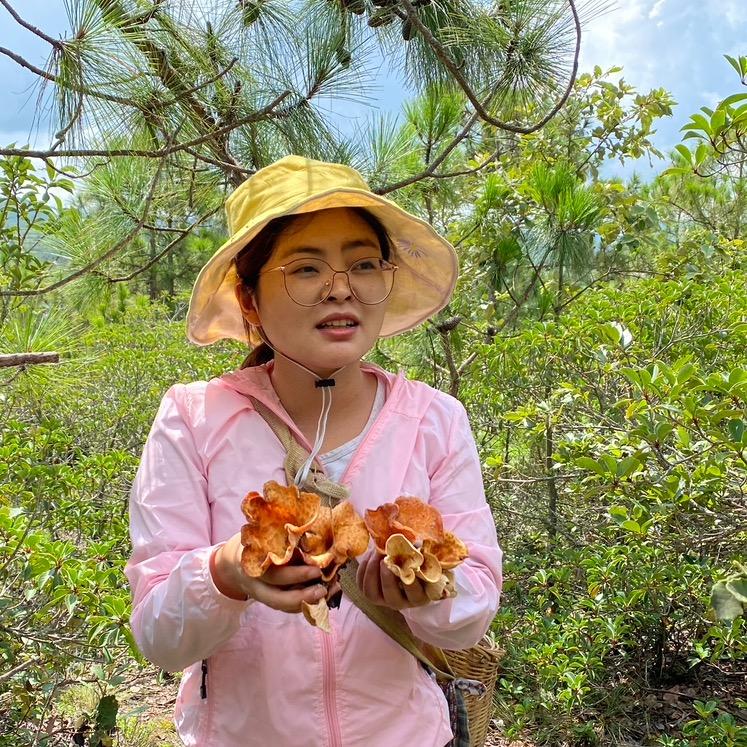 大王菌游记