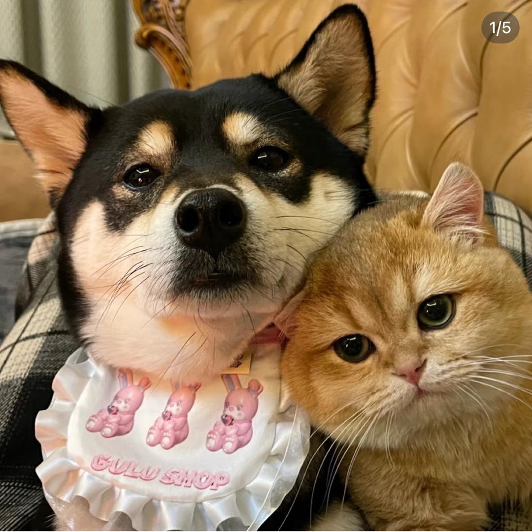 00后情侣测评日记