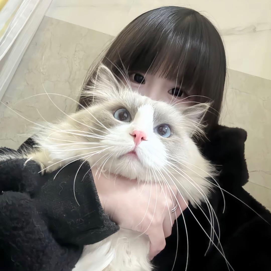 imnotxin