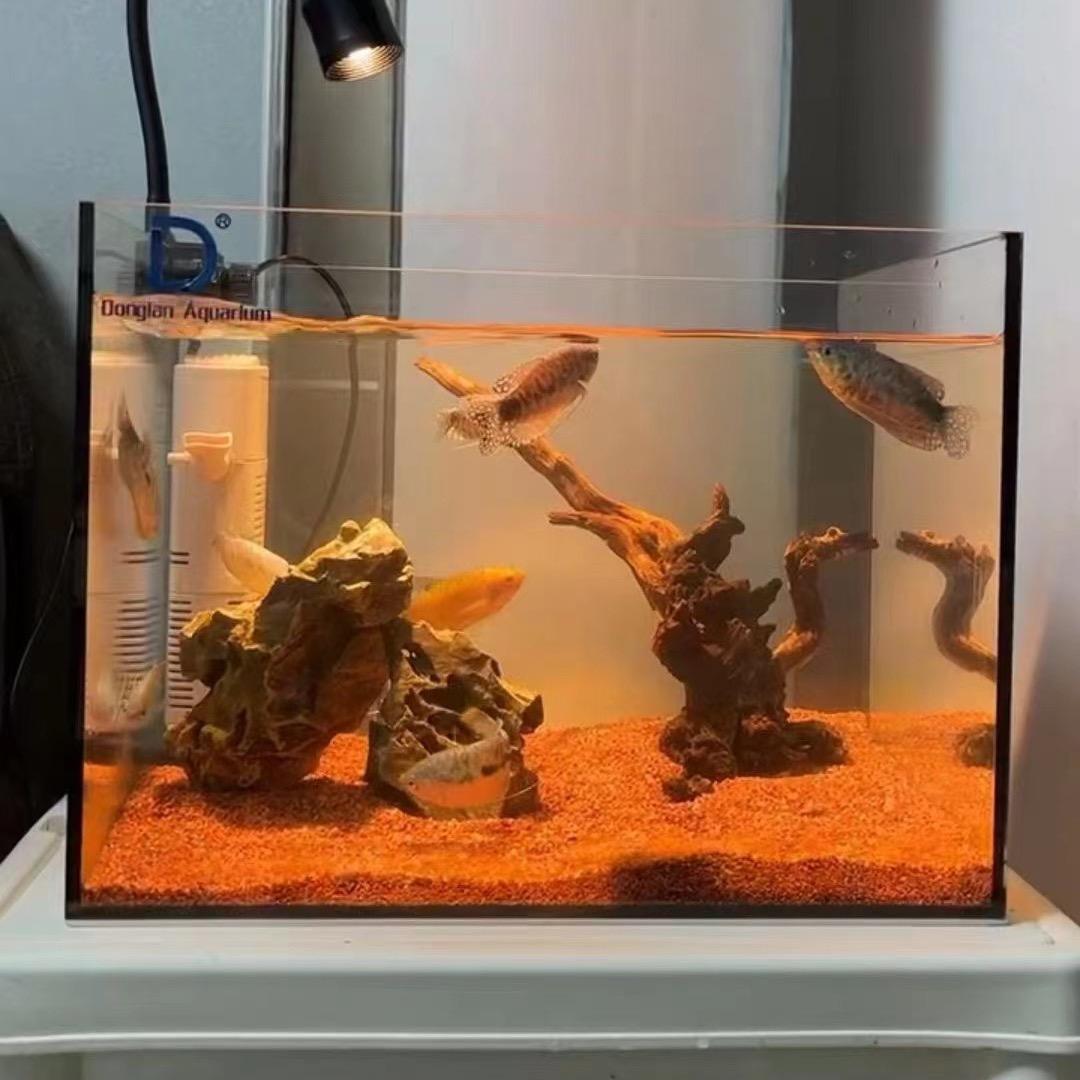 澜海水族供应