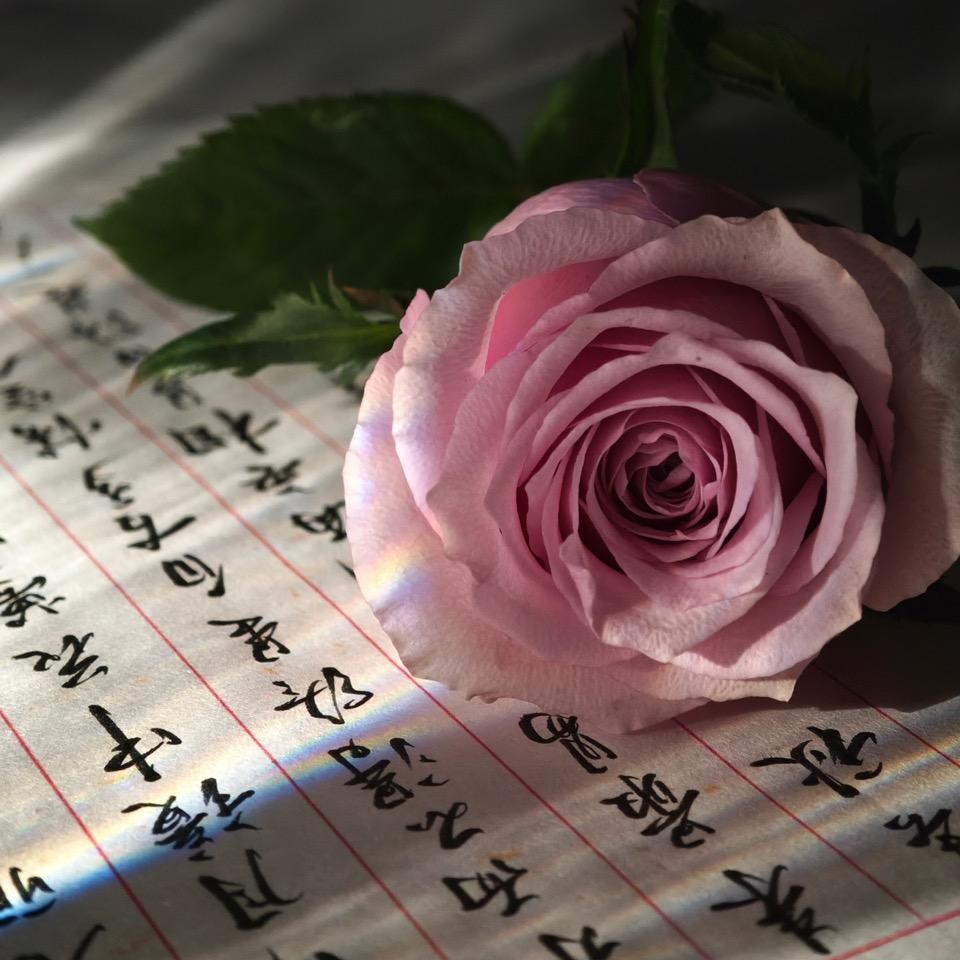 字🉐其乐