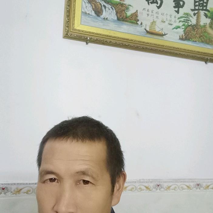 收购买卖土黄牛（兴万家庭农场）