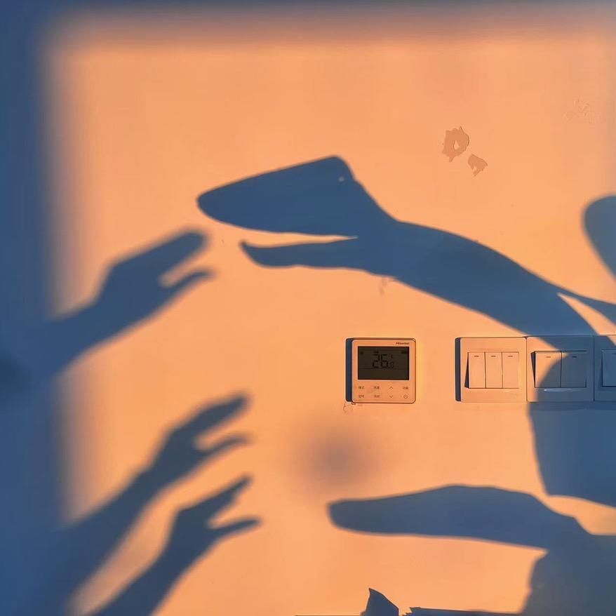 暴打鲜橙少📷