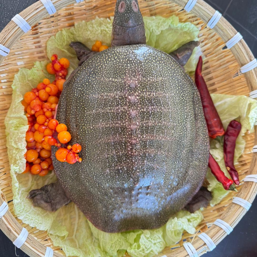 甲鱻食品