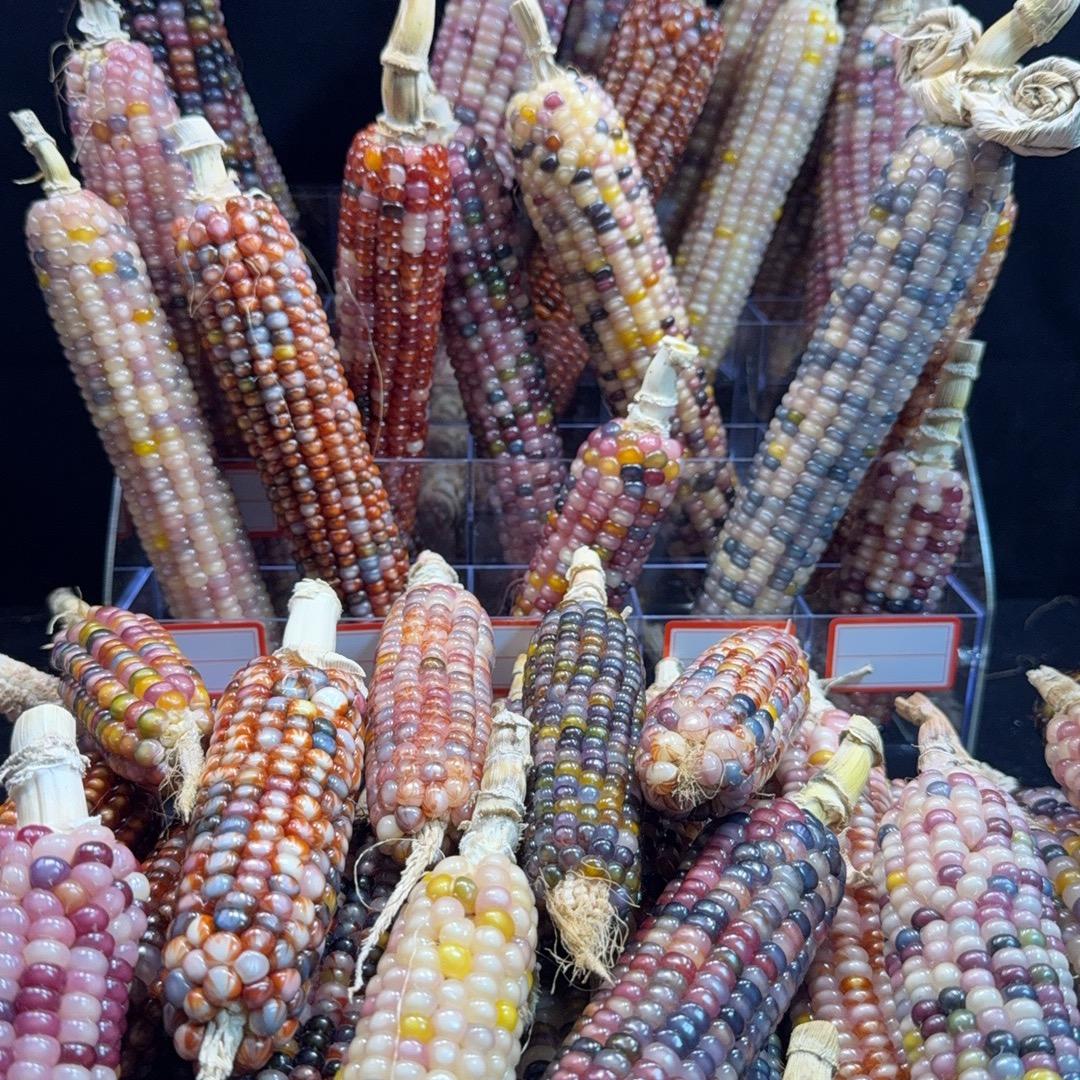 晚晚玉米好物小店