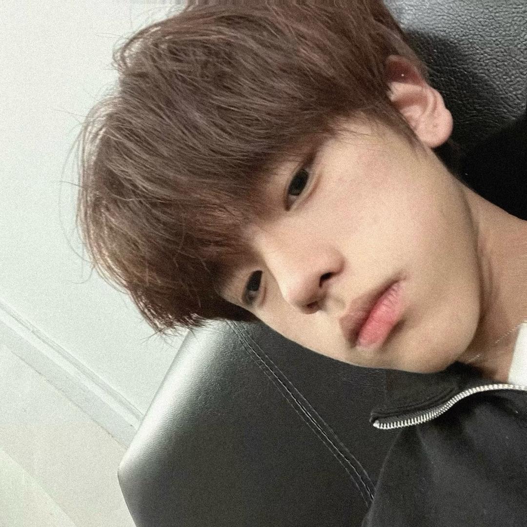 bobo