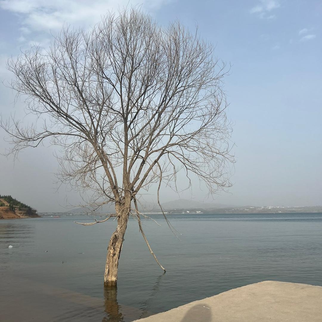 小虫子精选