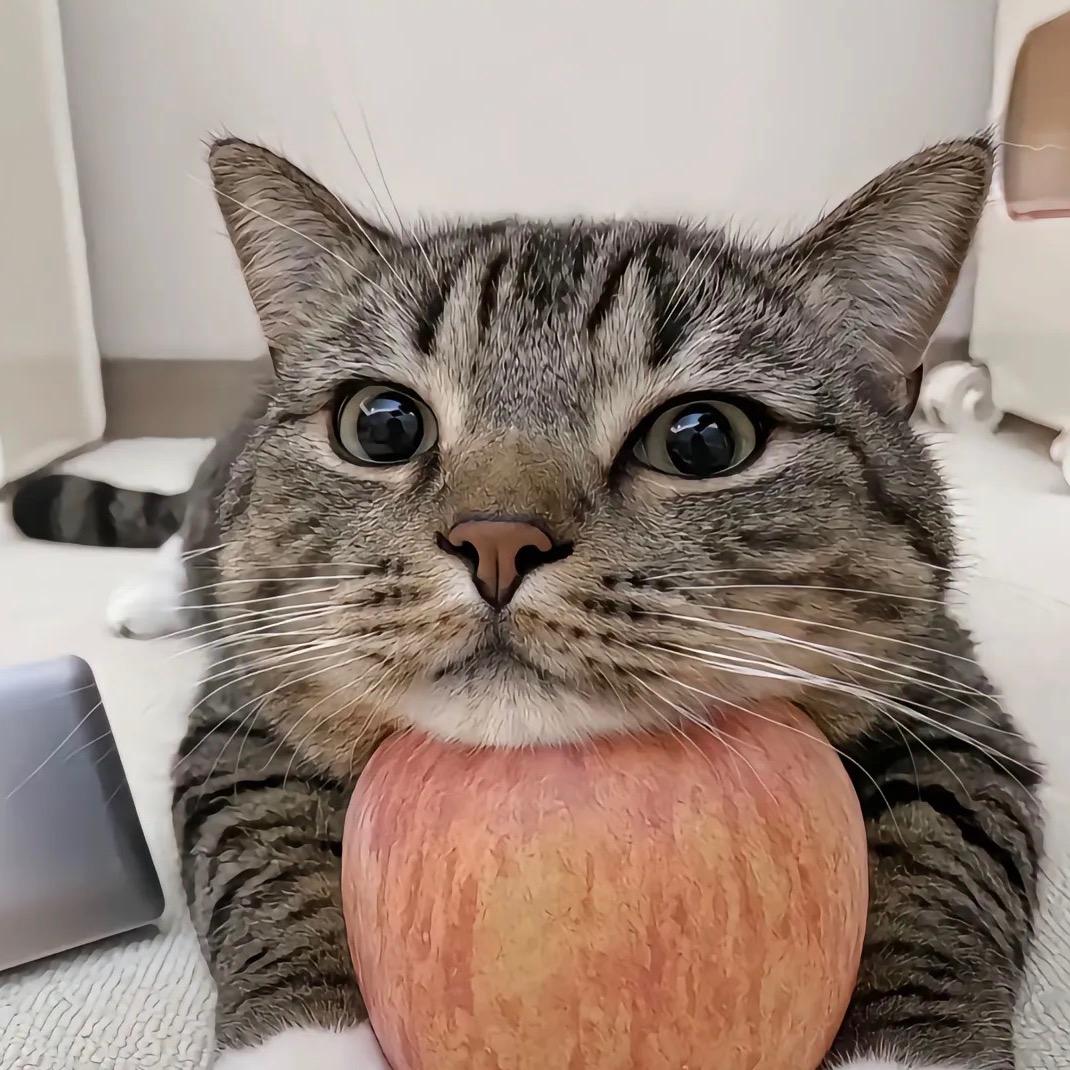 来货拉华南发货现场