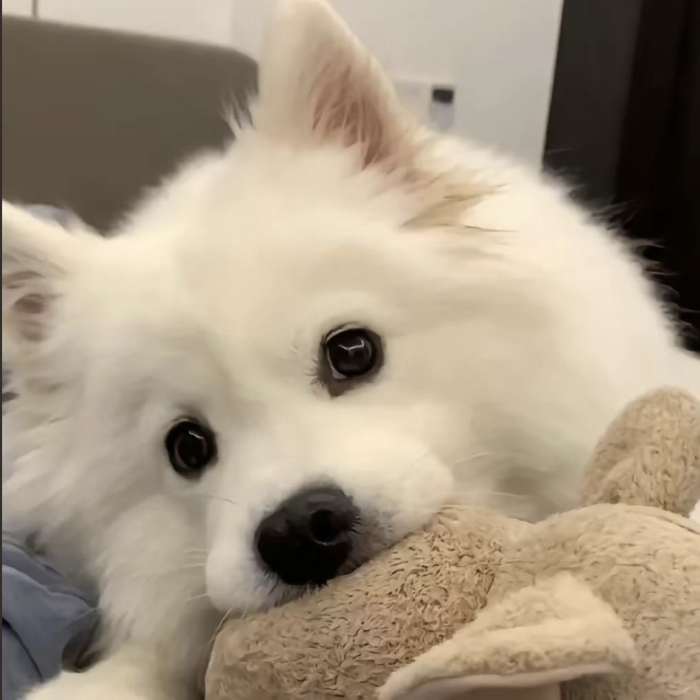 柚᳐子᳐᳐᳐੭ﾞ