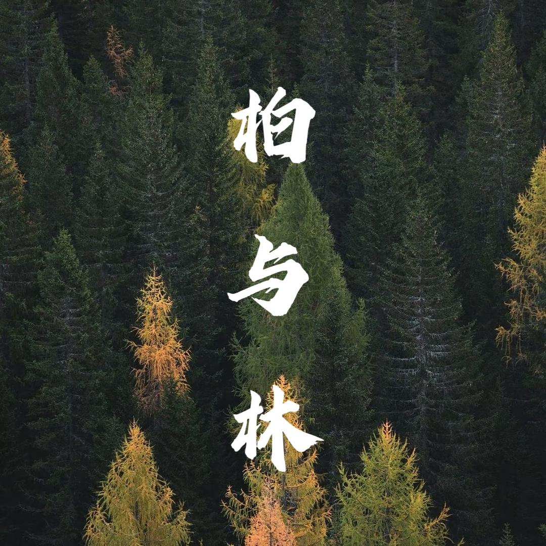 柏与林手作