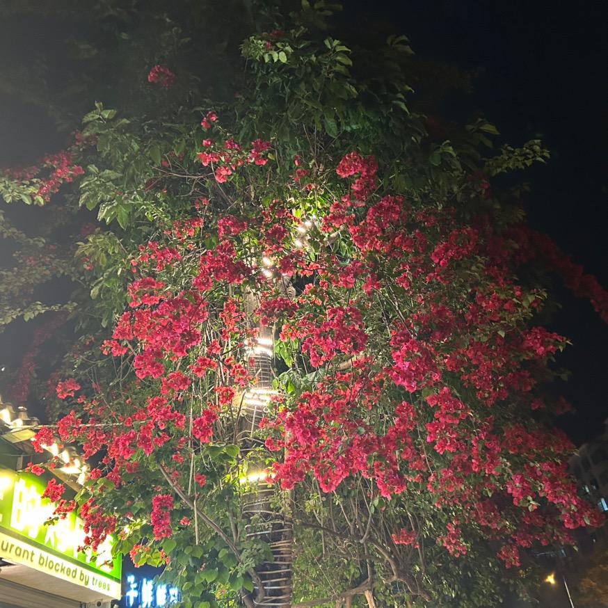 铭雅装饰广州松涧贸易有限公司统计号