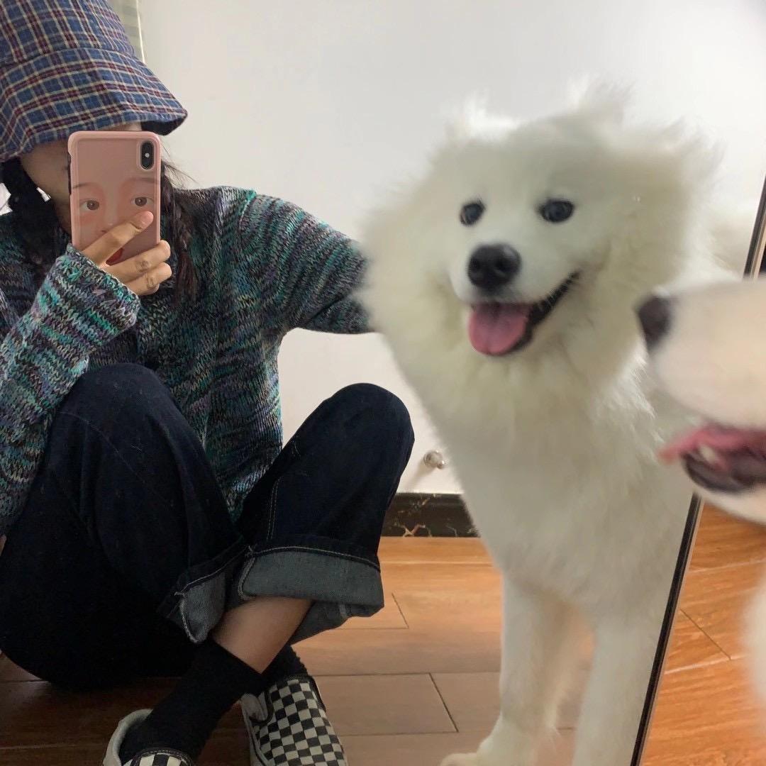 康康子
