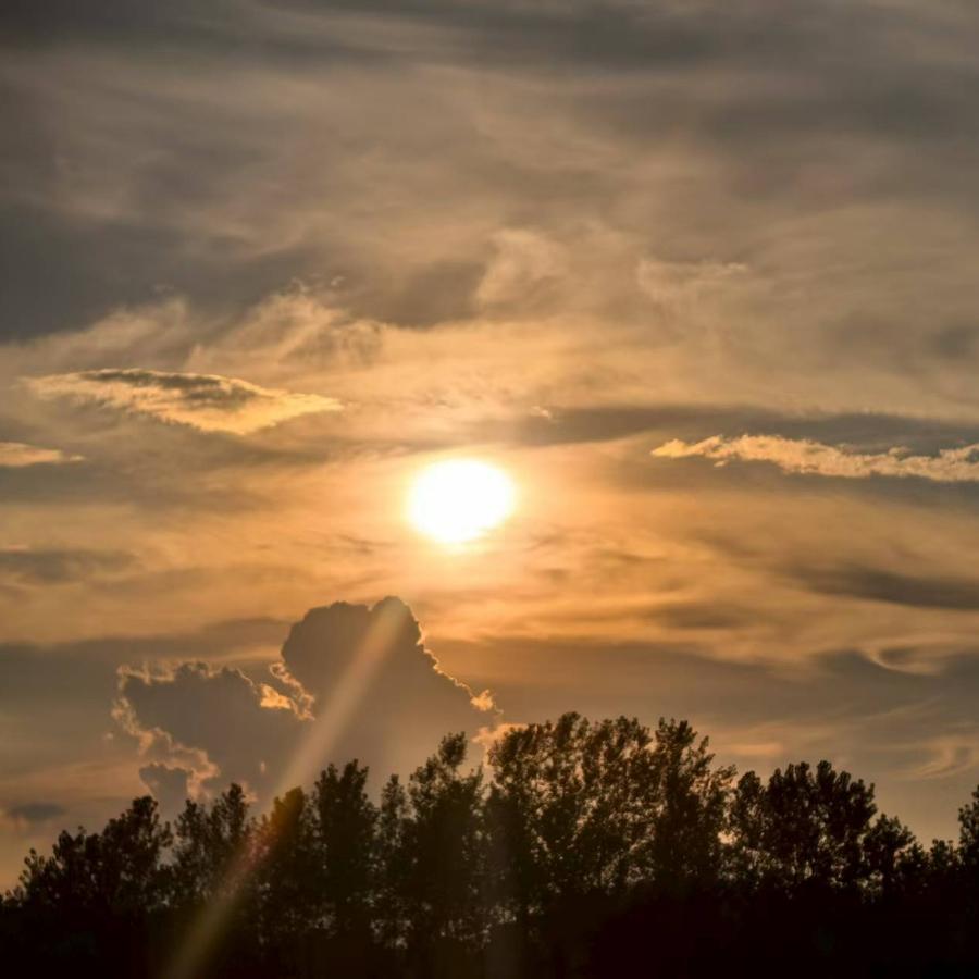 黑影俱乐部·影刃