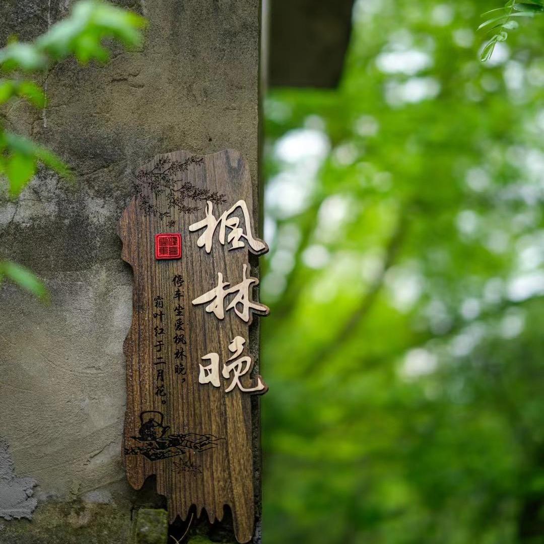 西溪南枫林晚汉服体验馆