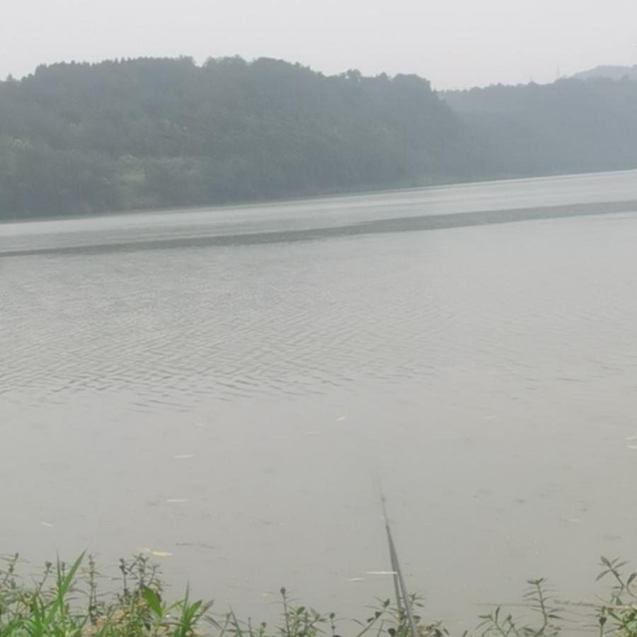 飙速dbe/