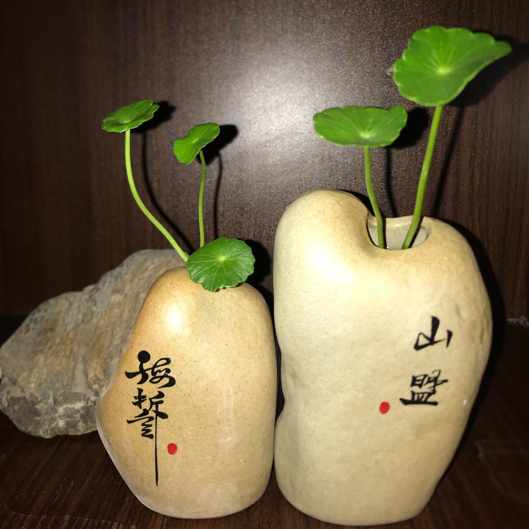 早安混饨