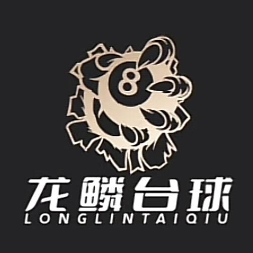 龙鳞台球器材