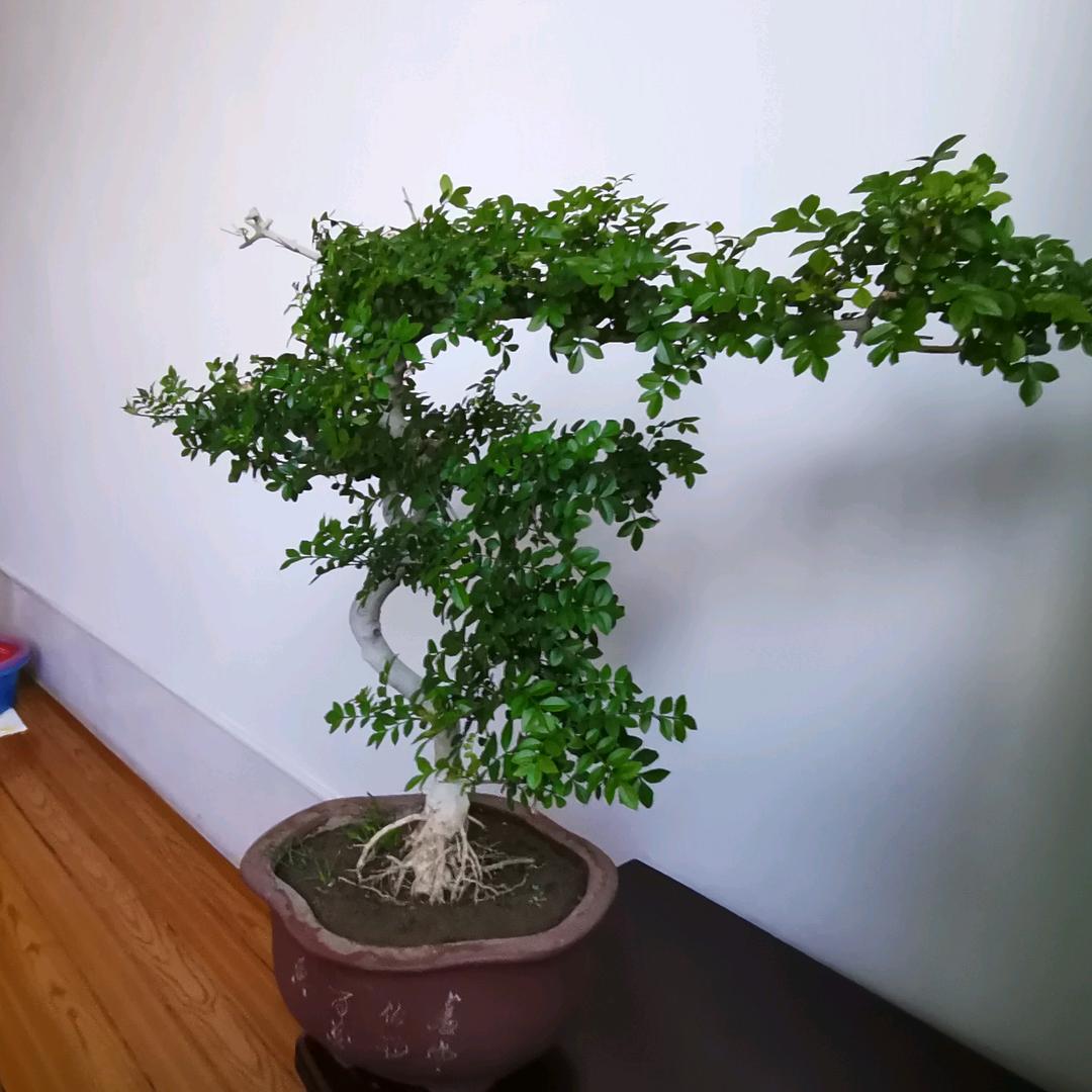 用户4460332153572文利