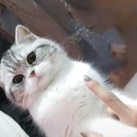 李海枝