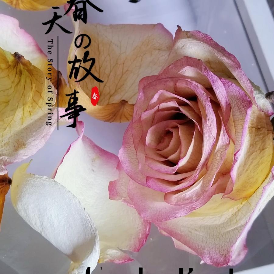 落日与晚风告白